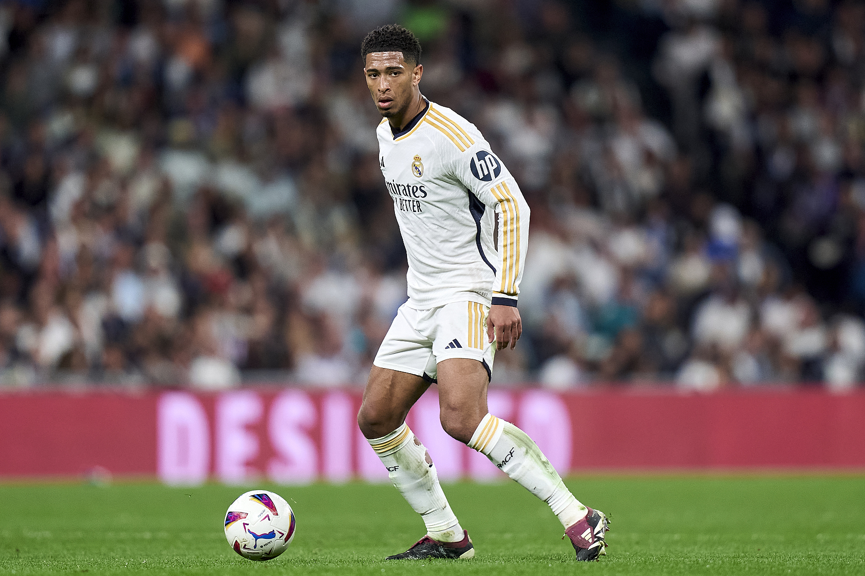 明了这条球 明了这条球